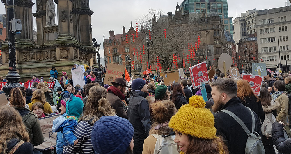 20170121_132948 cropped.jpg